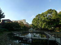 平和島駅周辺の街並み・周辺施設│シティマンスリー