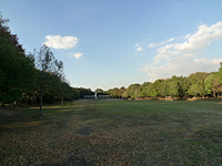 平和島駅周辺の街並み・周辺施設│シティマンスリー