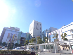 川崎駅周辺の街並み・周辺施設│シティマンスリー