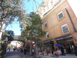 京急川崎駅周辺の街並み・周辺施設│シティマンスリー