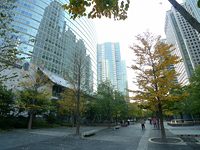 品川駅周辺の街並み・周辺施設│シティマンスリー